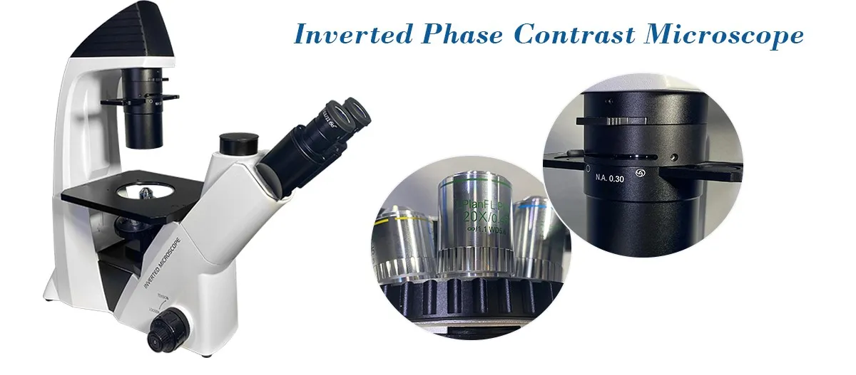 Inverted Phase Contrast biological microscope Inverted Phase Contrast biological microscope