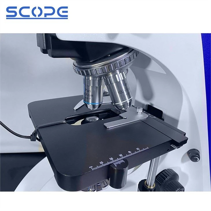 40X-1000X laboratoy microscope for sale